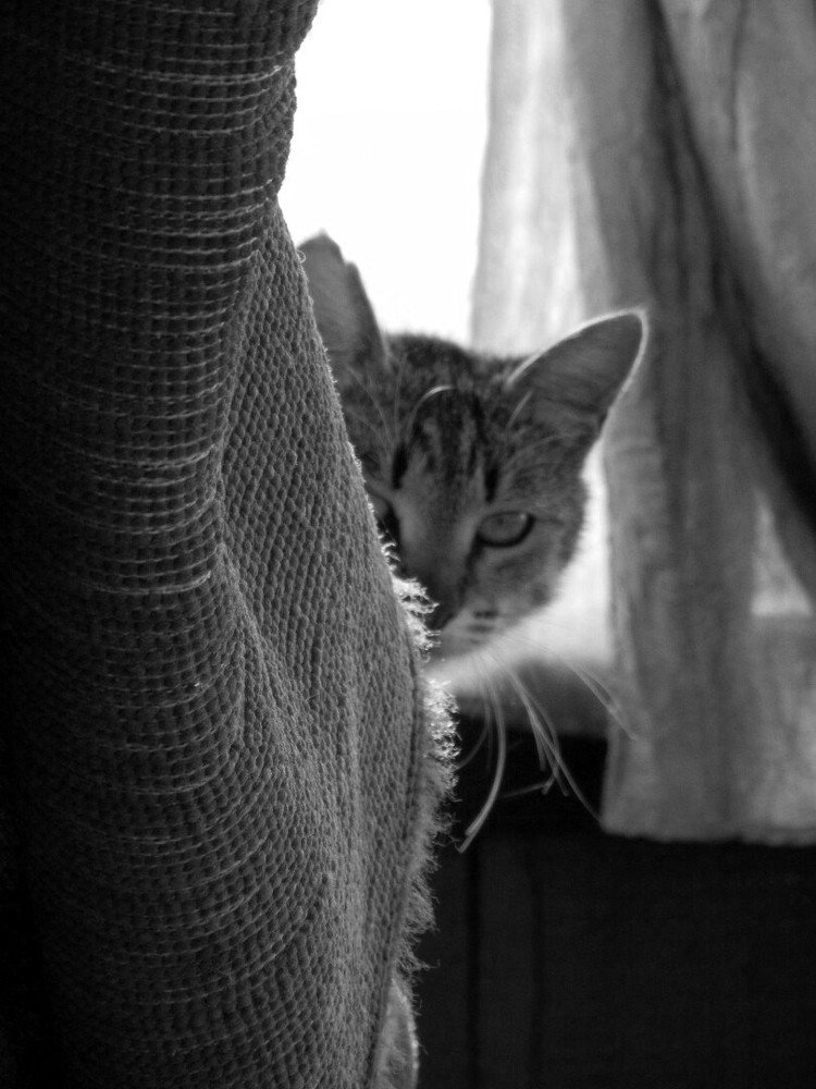 Photograph by Настя Трубкина