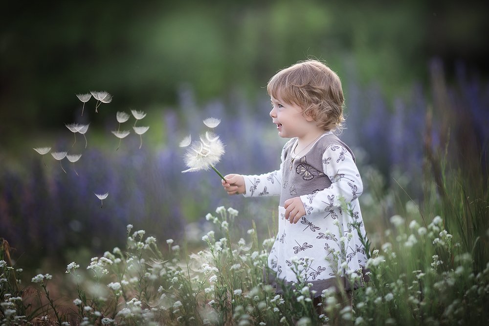 Про Василису и большой одуванчик