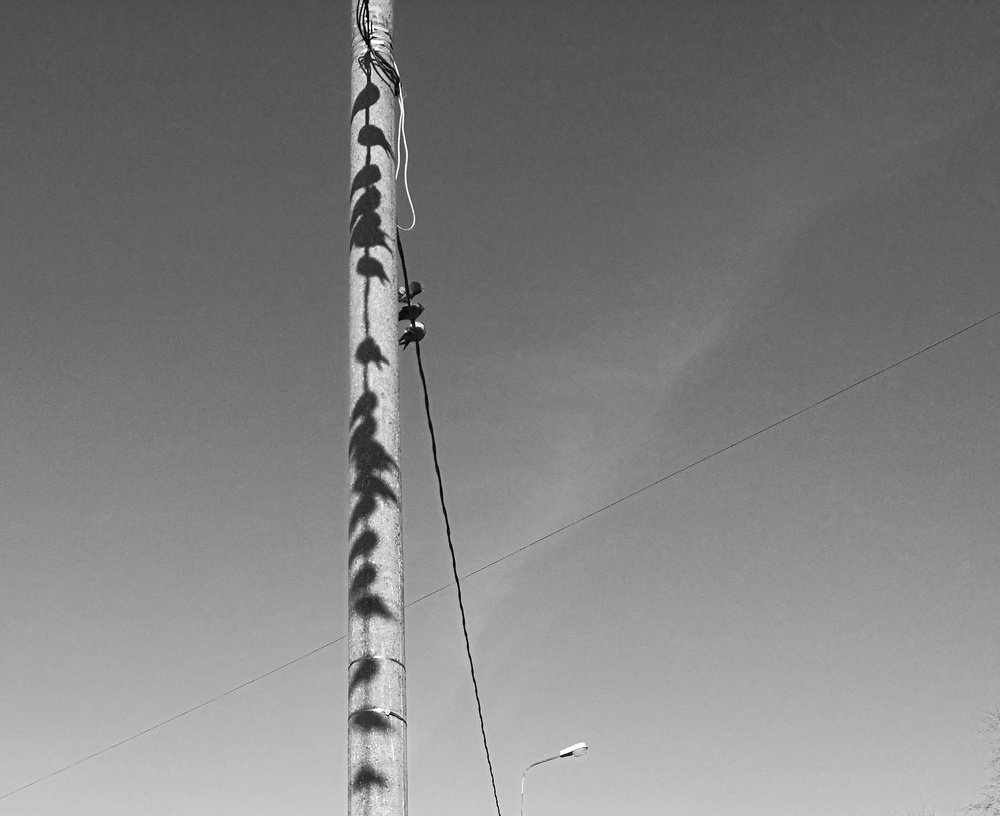 Photograph by Максим Захаров