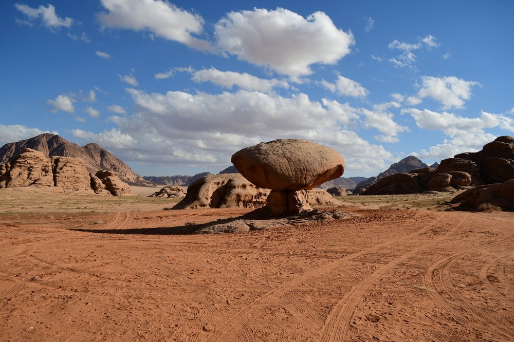Mushroom in the desert