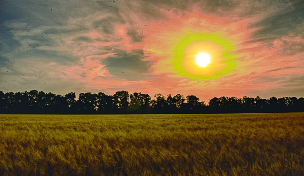 Всевидящее око