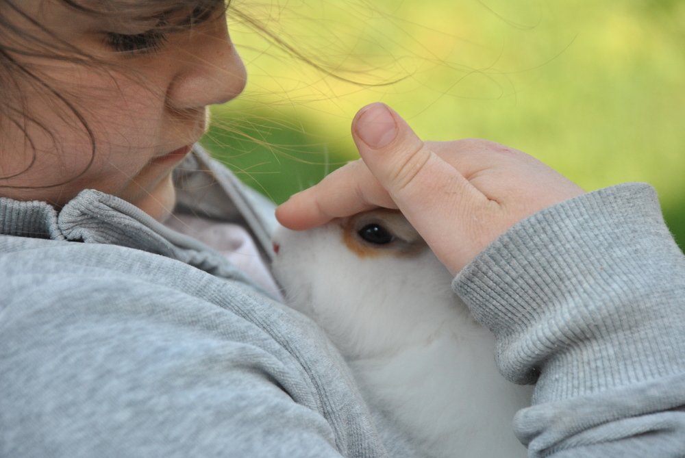 Tenderness in the air