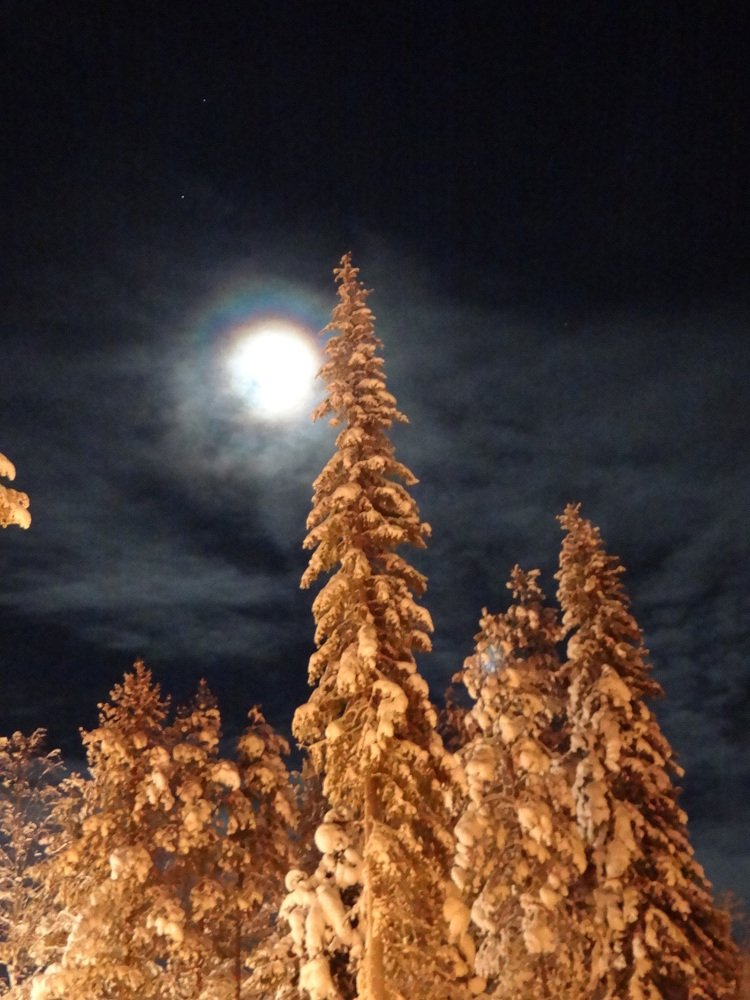 полярная ночь