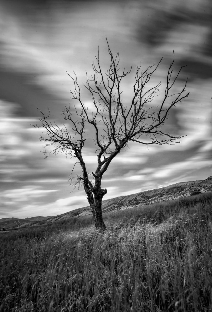 Photograph by Adl Abdolahi