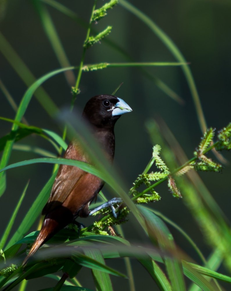 Photograph by Edgar Hutching
