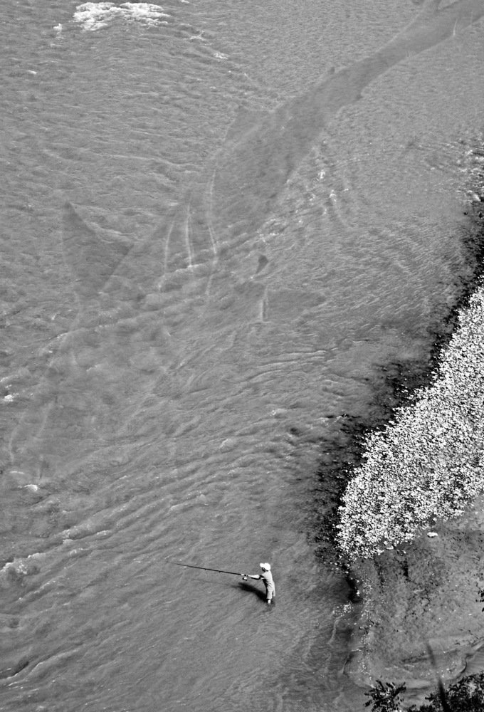 Фотография автора Анатолий Мироненко