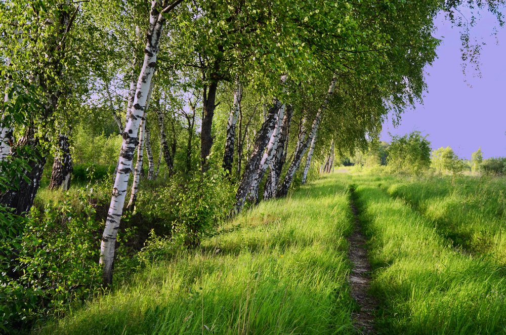 Photograph by Anna Saltykowa