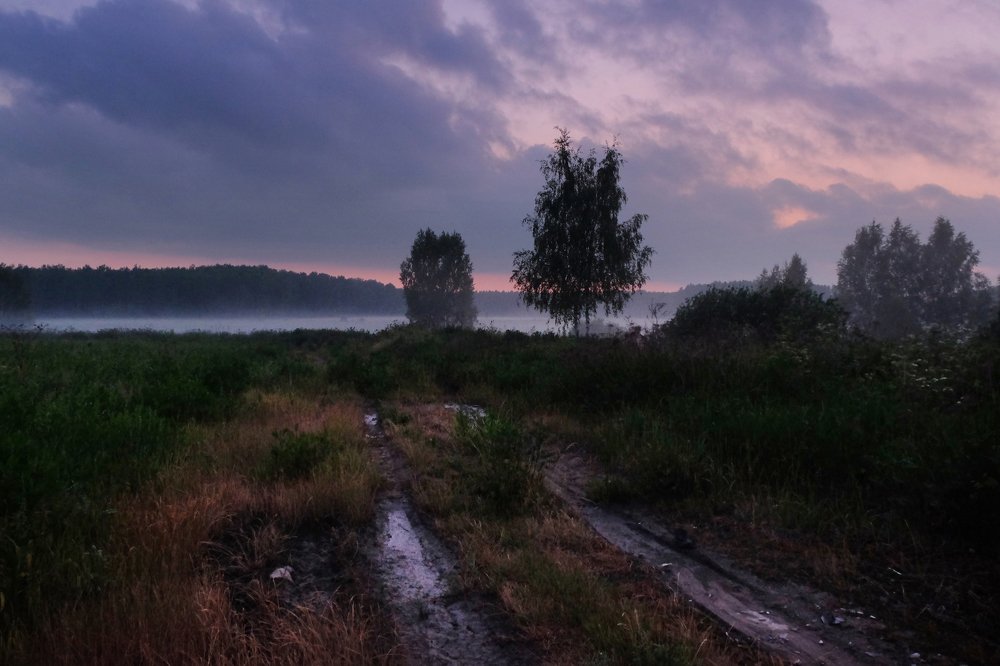 Photograph by Anna Saltykowa