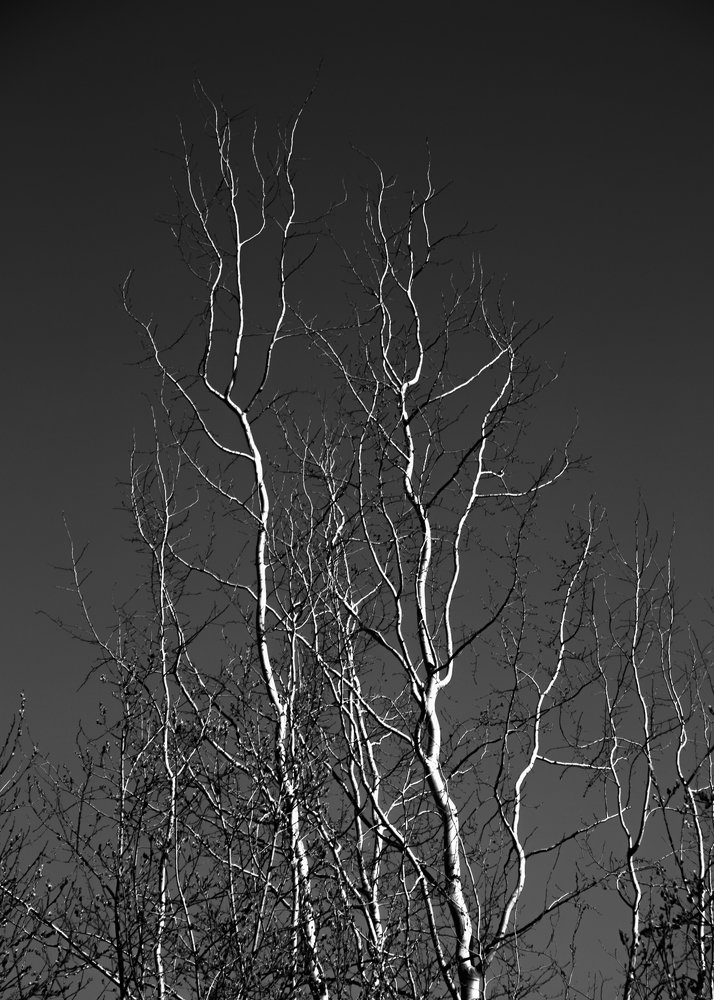 Photograph by Наталья Путято