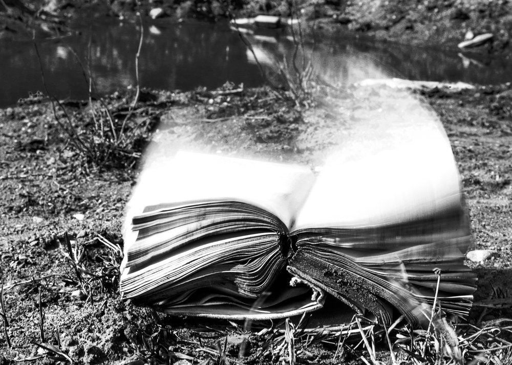 Photograph by Наталья Путято