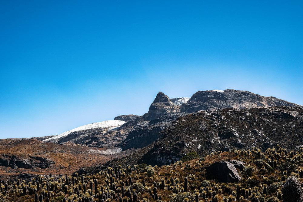 The big tropical Glacial