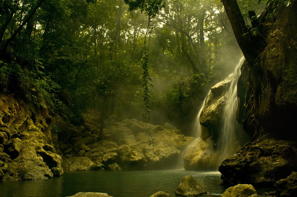 A paradise in water color