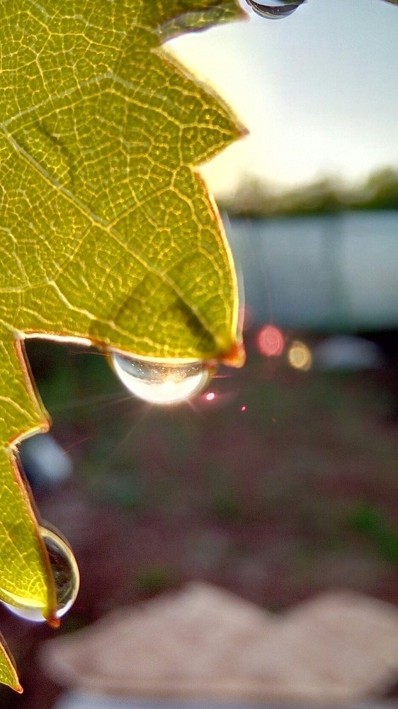 Photograph by Марина Комина