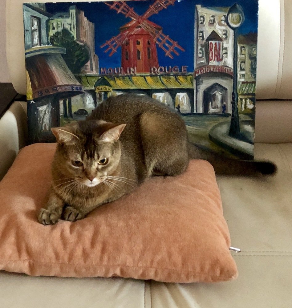 В мечтах о Париже