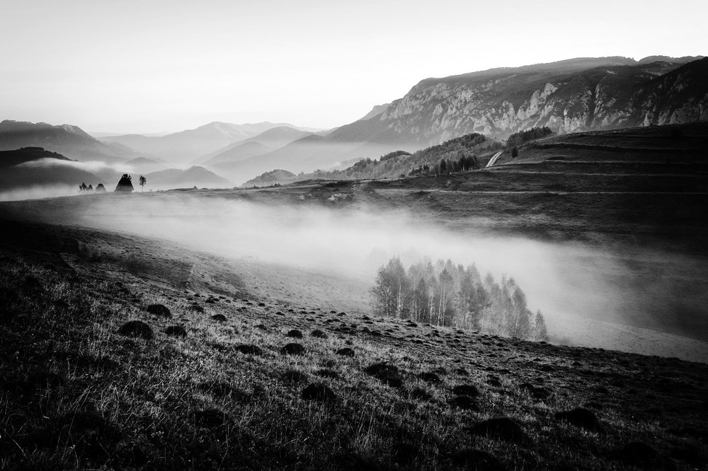 In the silence of nature