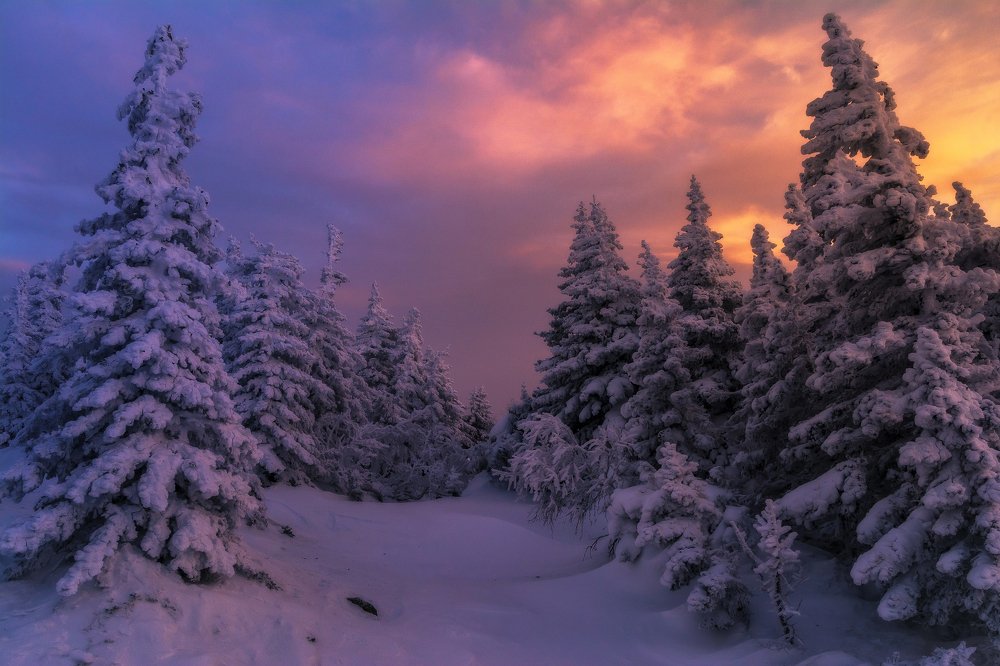 Пылающий Закат