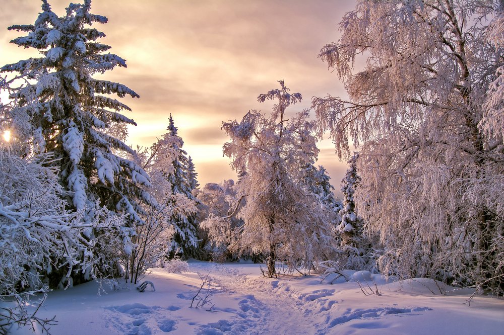 Тропинка в сказку...