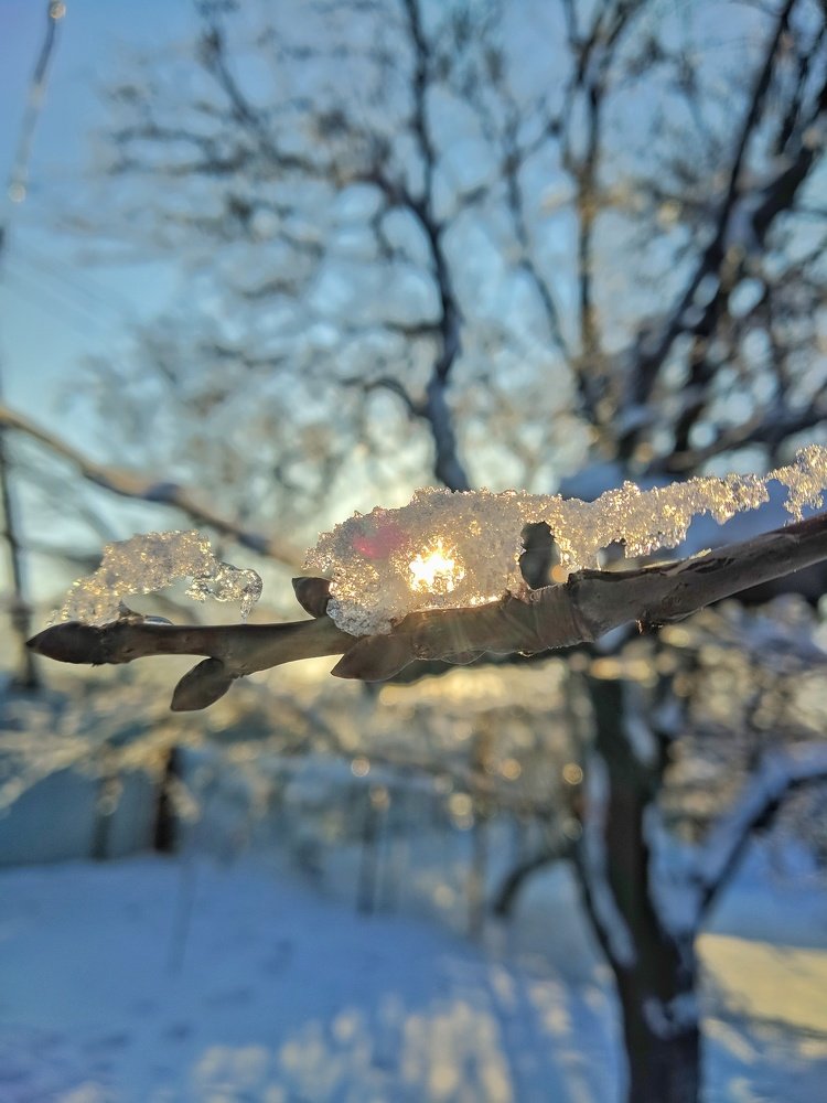 Photograph by Дмитрий Иванченко