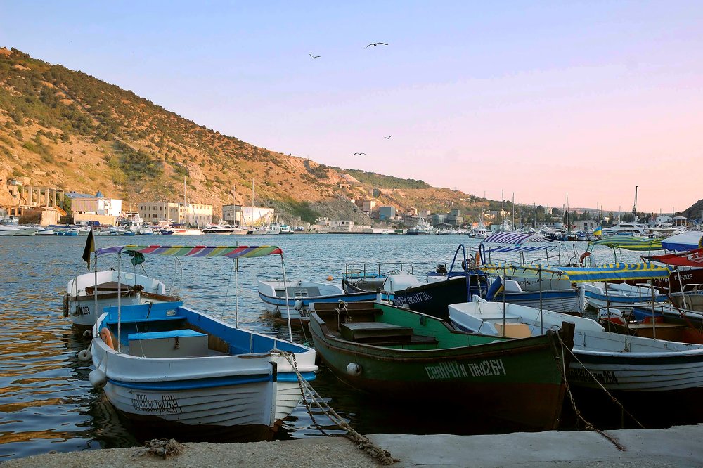 Тихая гавань