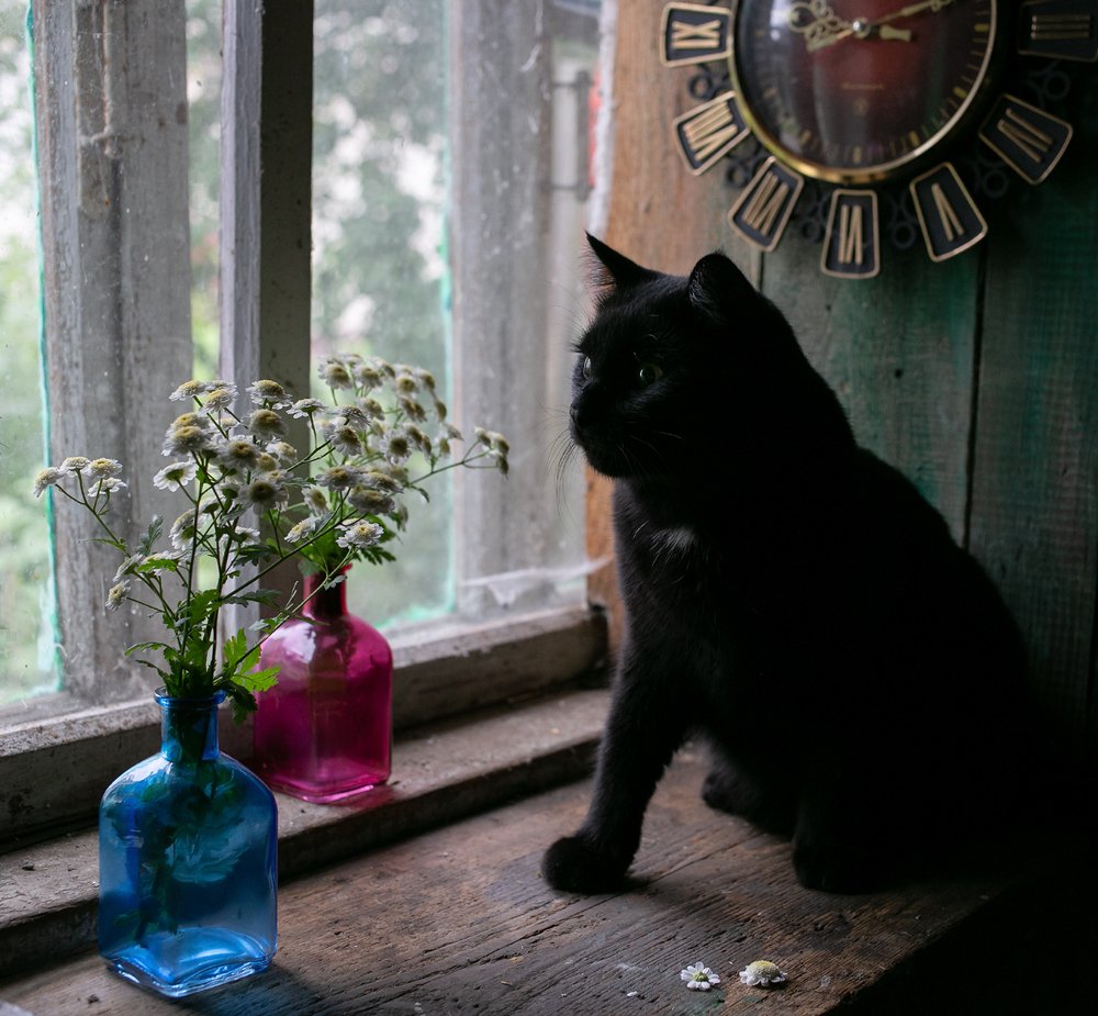 И время остановилось...