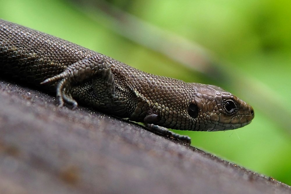 Photograph by Ирина