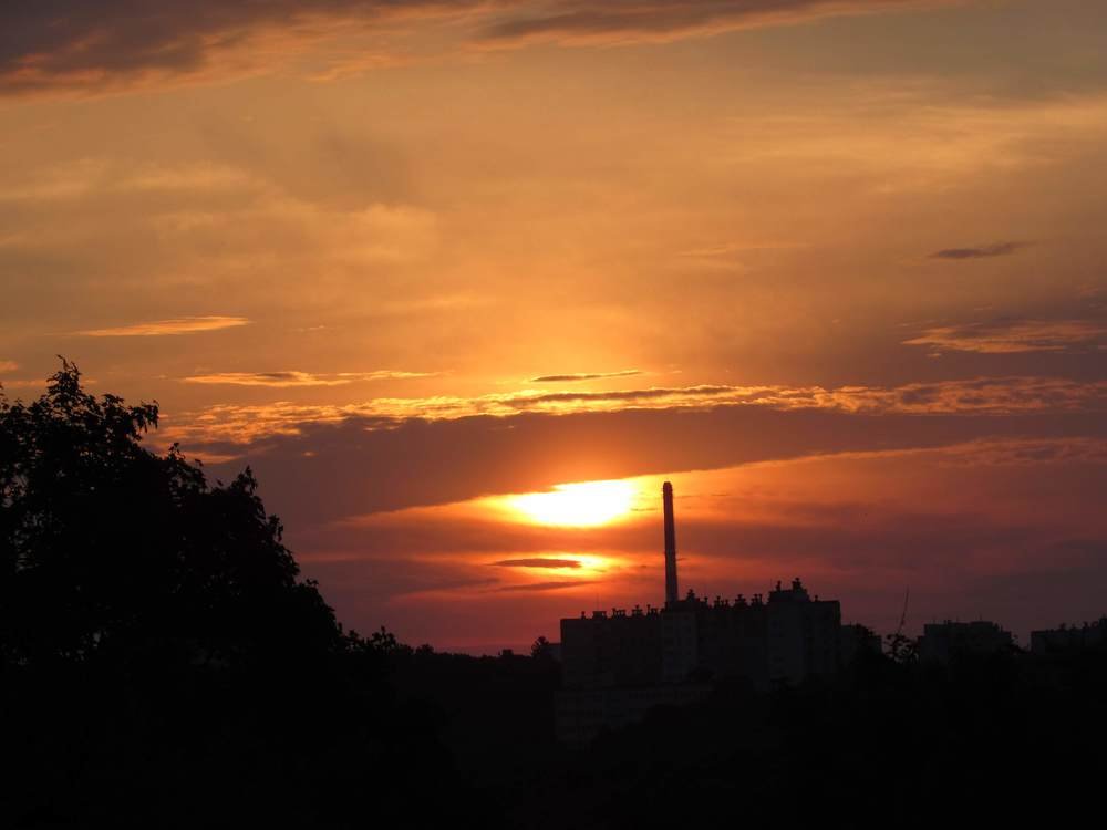 Photograph by Mariia