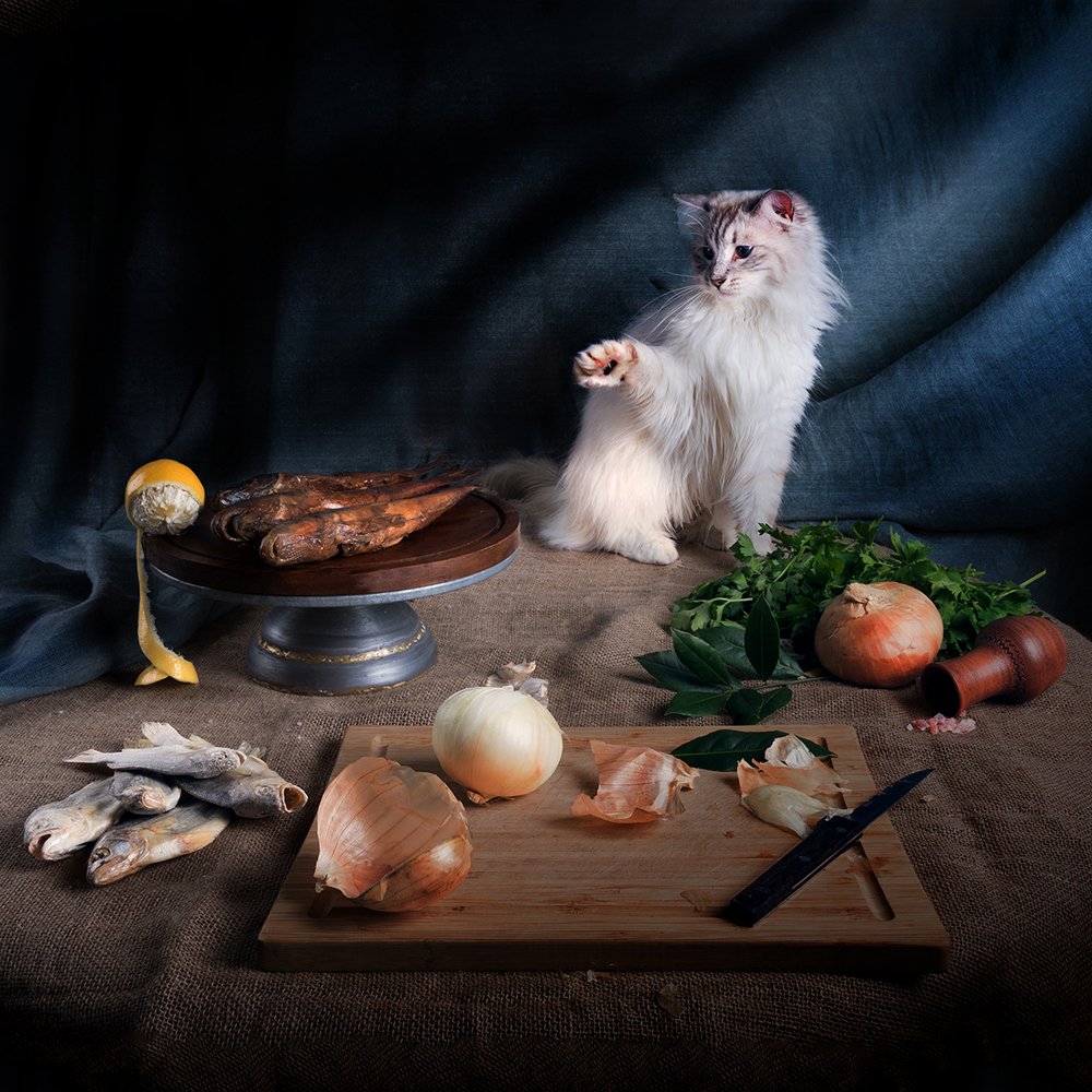 Муки выбора