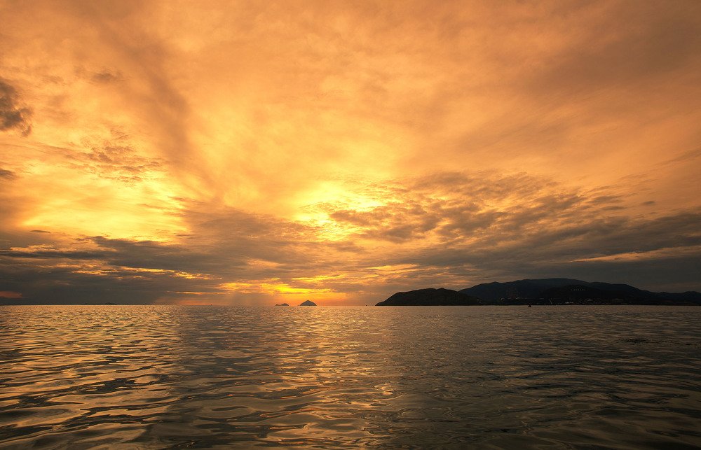 Тропическое утро.