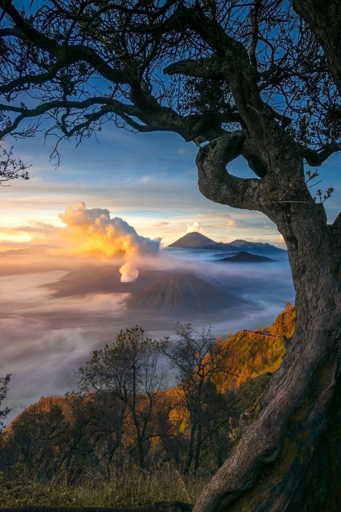 Morning from bromo mountain