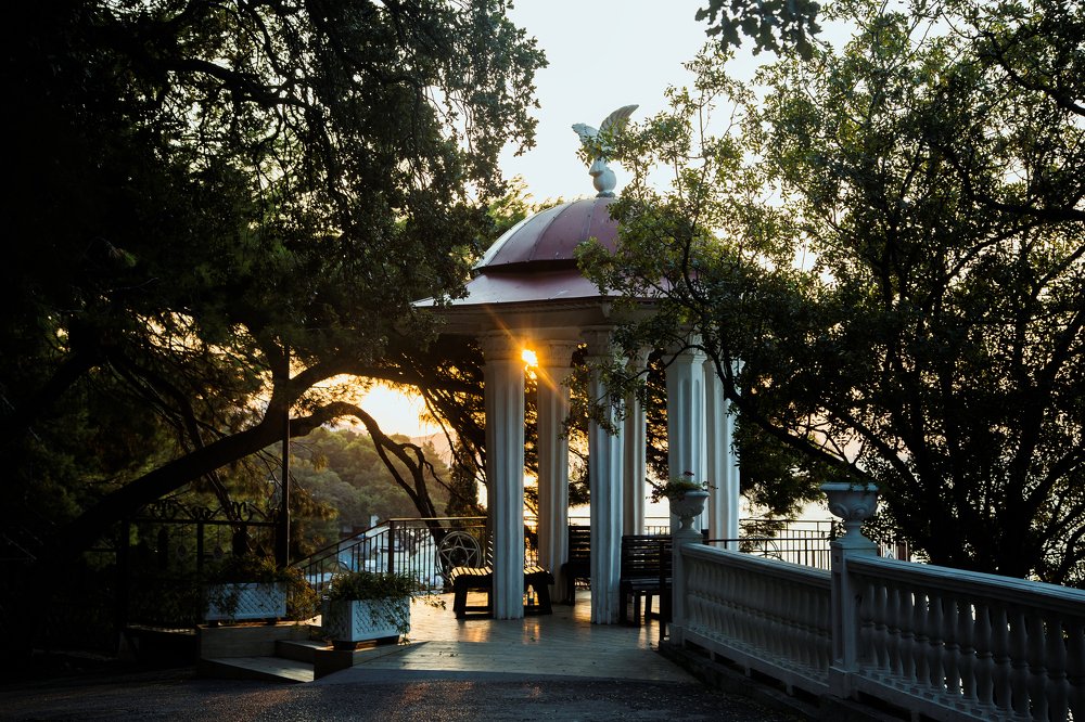 Photograph by Ирина Швец