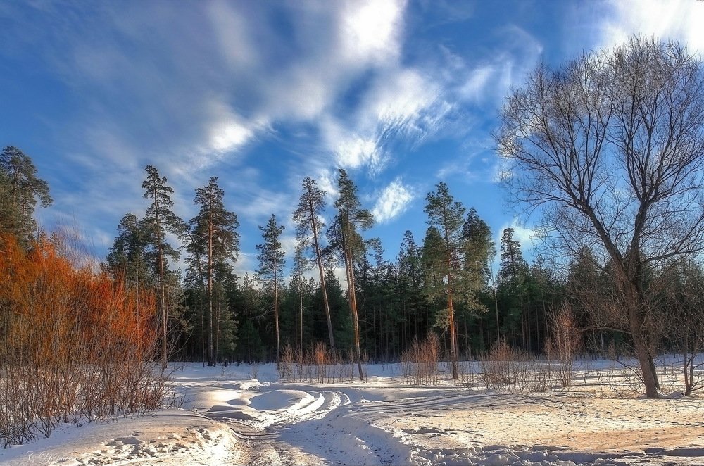 Утренняя прогулка.