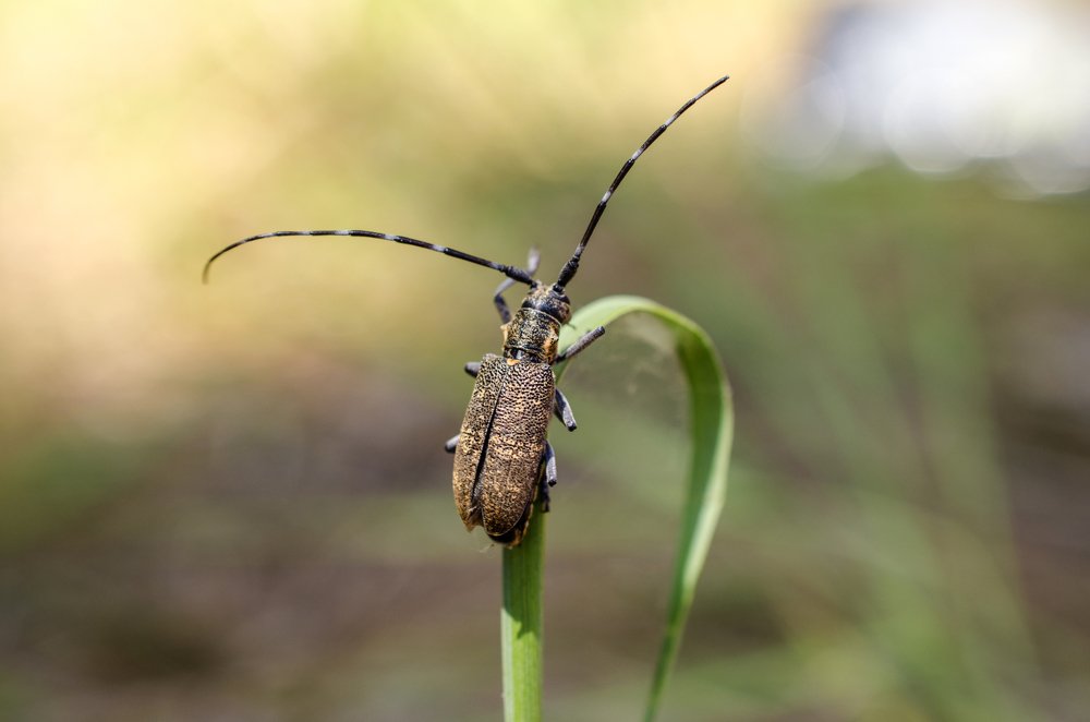 Привет свету