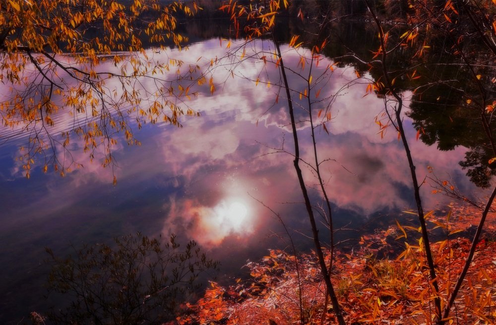 Photograph by Алия Байсыкова