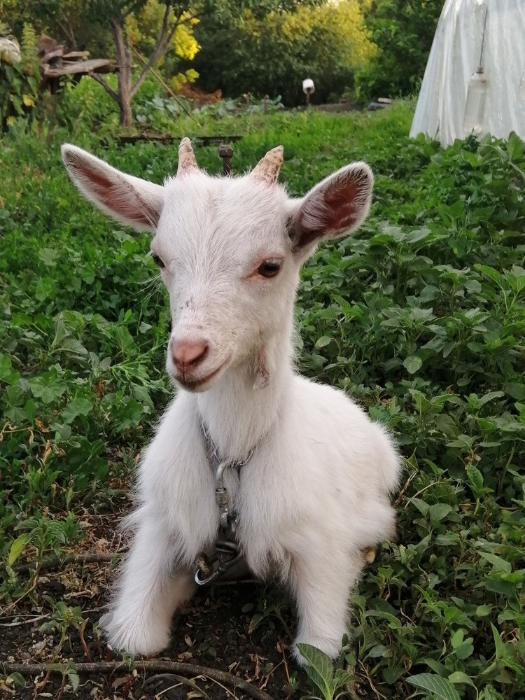 Photograph by Захар Пфейфер