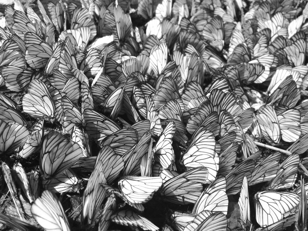 Картина природы