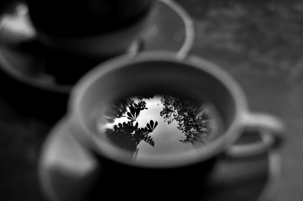 Чай с небом в каштанах