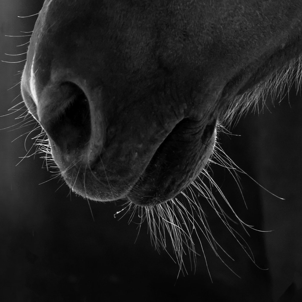 Без названия