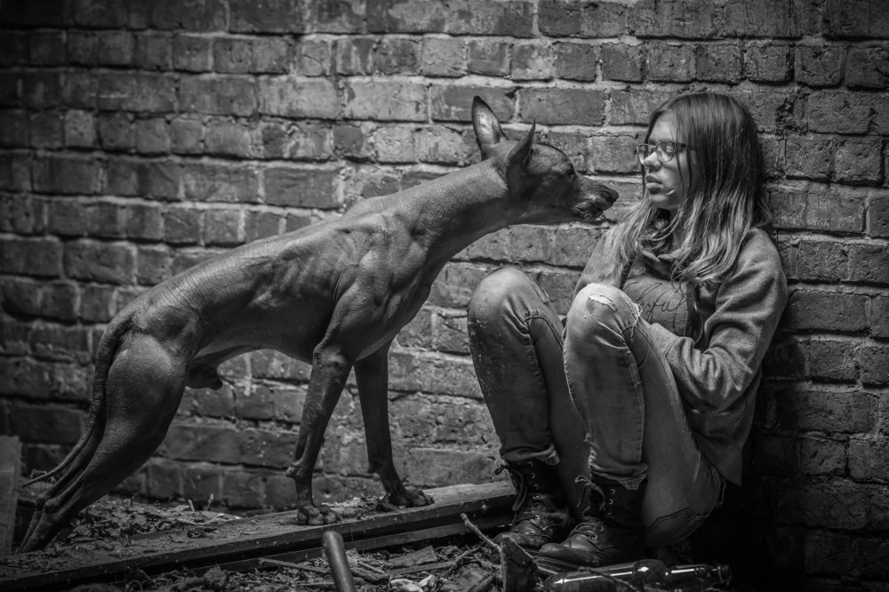 Красавица и Чудовище