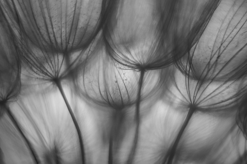 Photograph by Наталья Лещинская