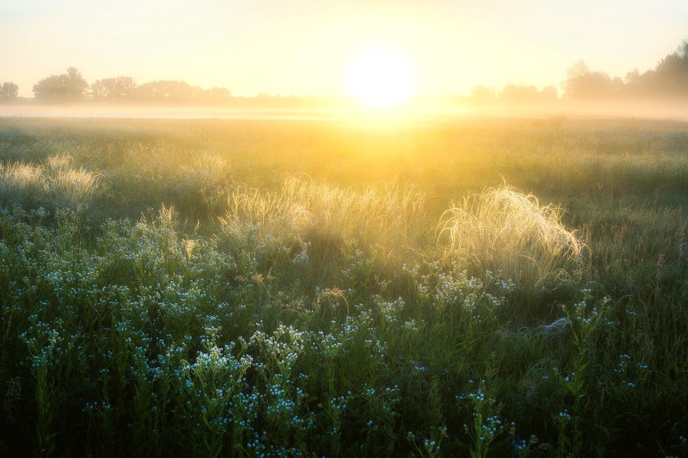 Туманный рассвет.
