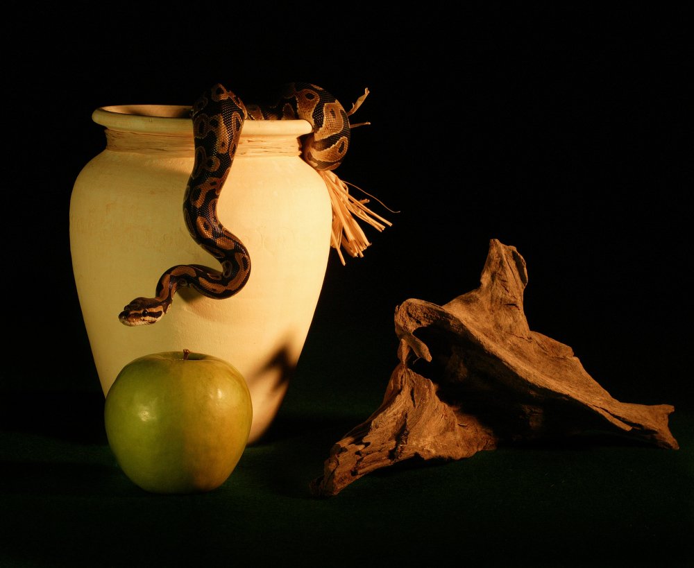 Своя судьба