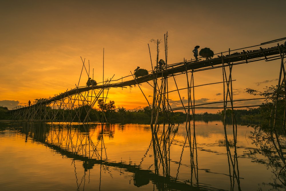 Bamboo bridge