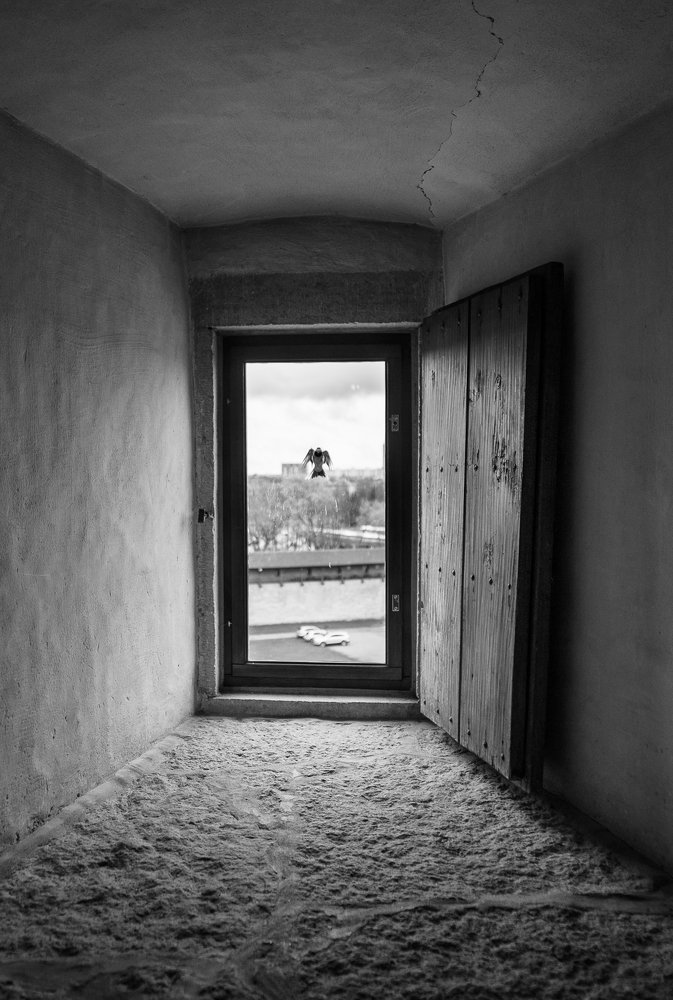 Фотография автора Светлана Морозова