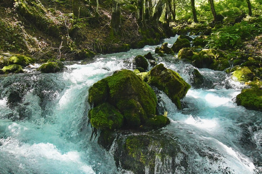В Черногории