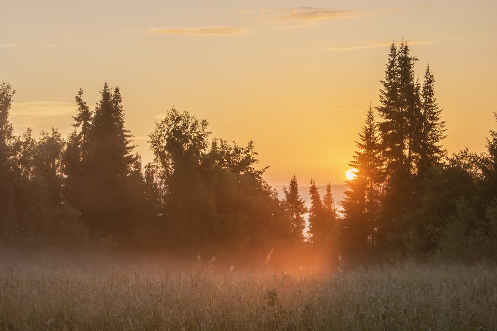 Июньский рассвет .