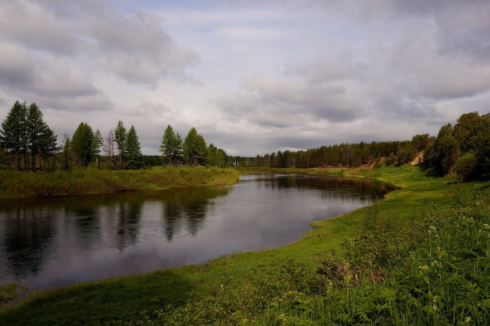 Природа  Севера .