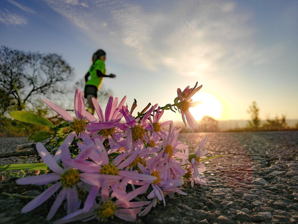 На рассвете