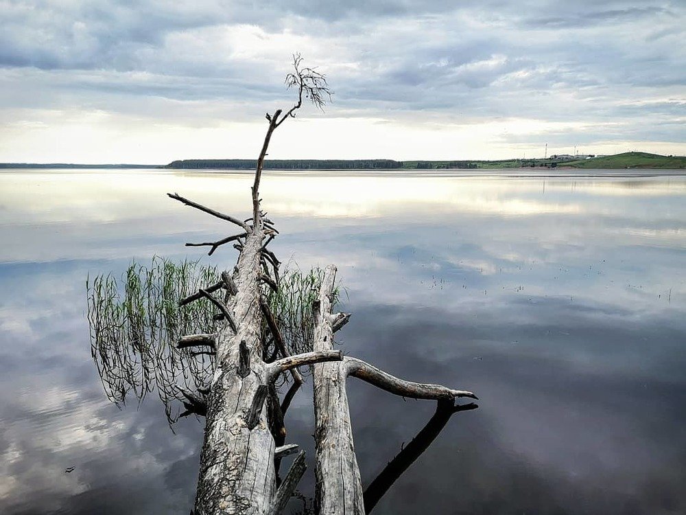 Photograph by Сергей Марценович