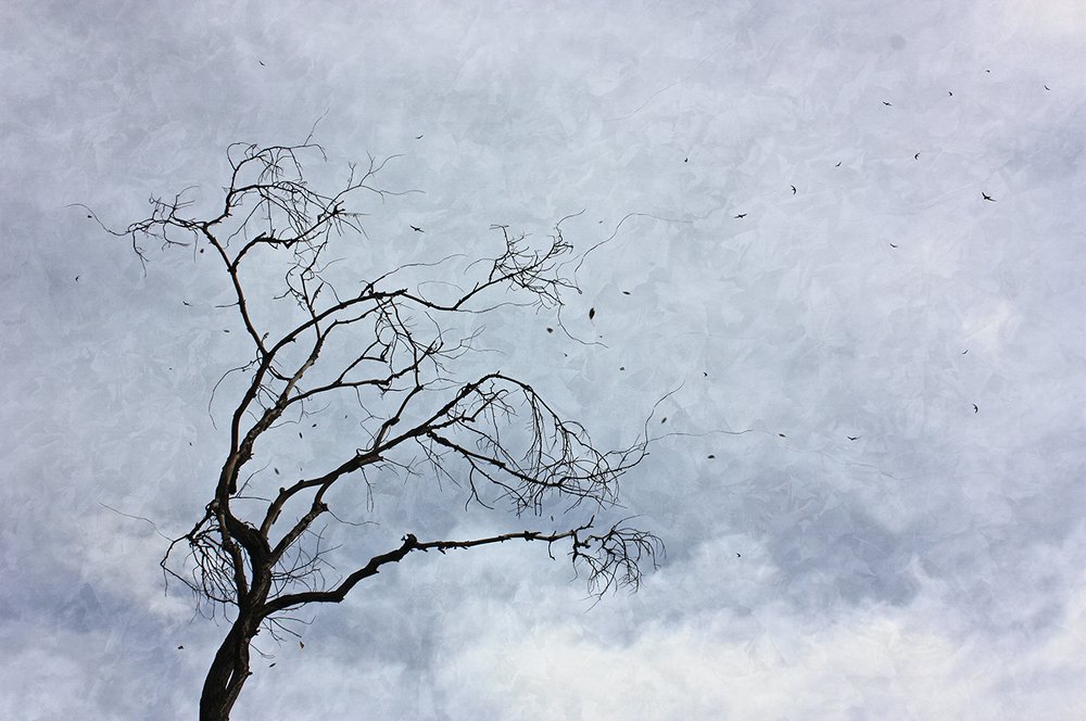 Осенний мотив