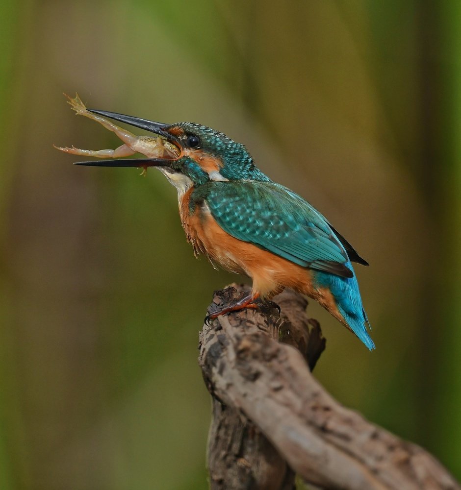 Photograph by Виктор Бондарев